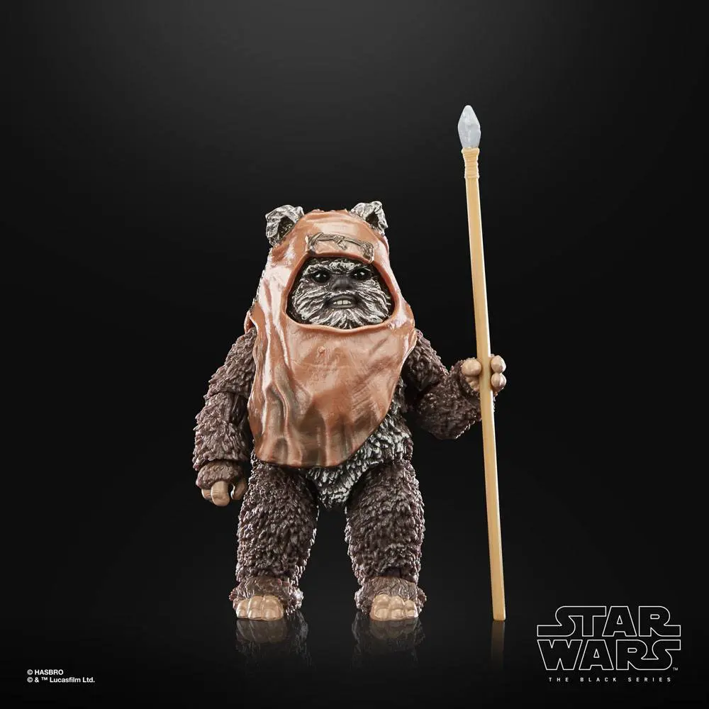 Star Wars Episode VI 40th Anniversary Black Series akční figurka Wicket 15 cm fotografii produktu