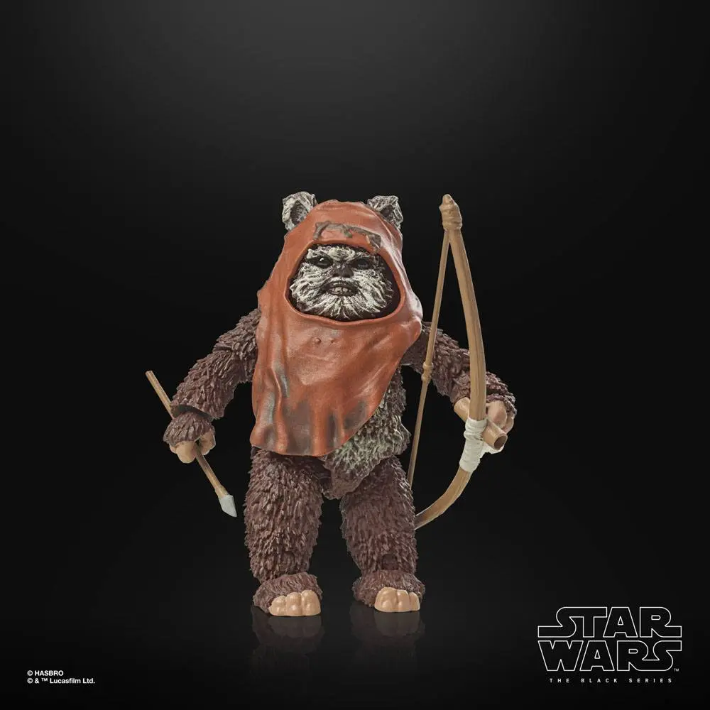 Star Wars Episode VI 40th Anniversary Black Series akční figurka Wicket 15 cm fotografii produktu