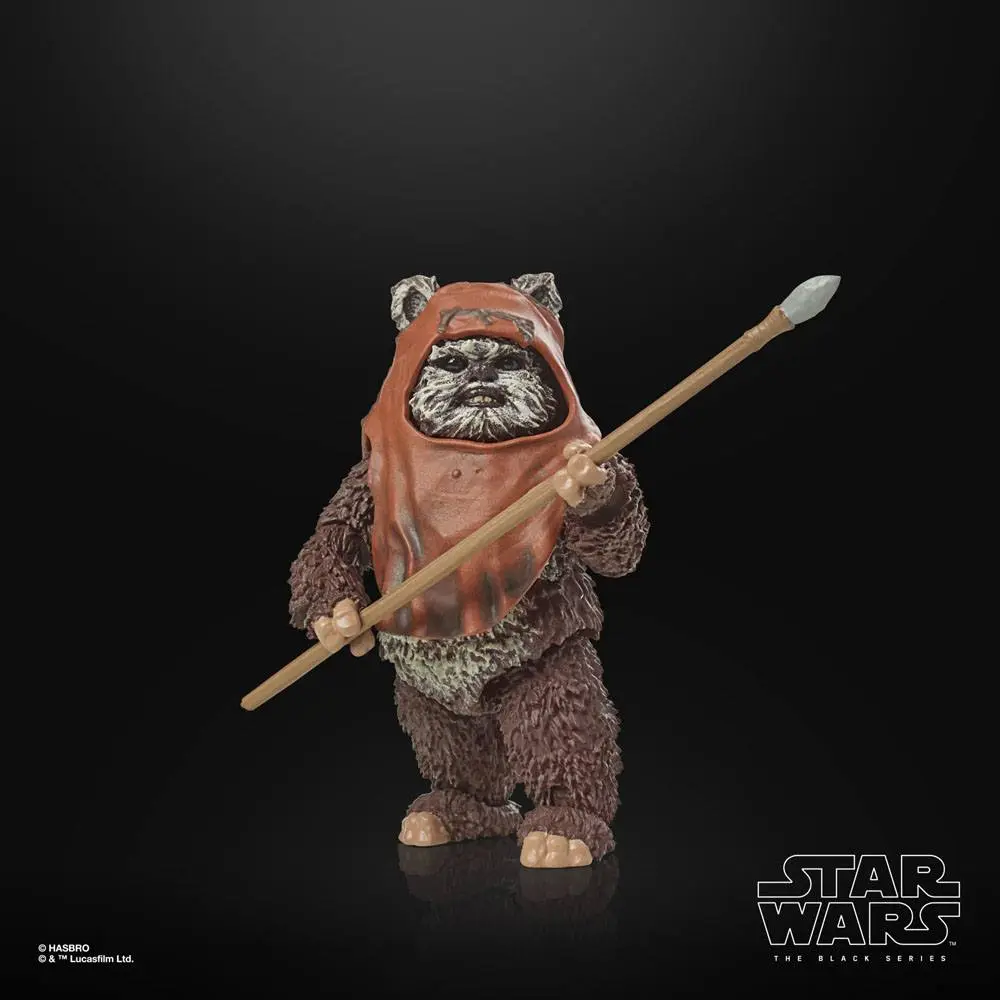 Star Wars Episode VI 40th Anniversary Black Series akční figurka Wicket 15 cm fotografii produktu