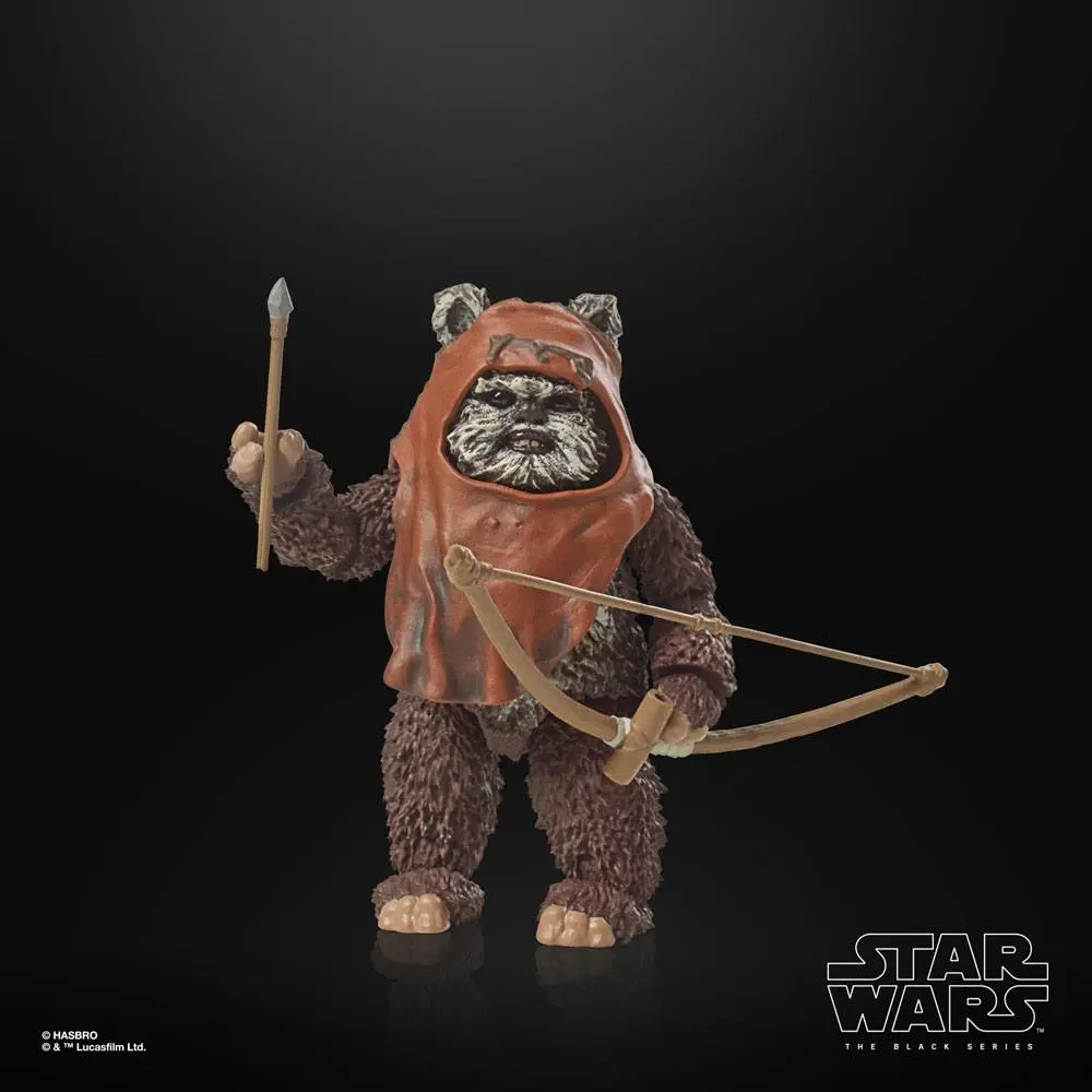 Star Wars Episode VI 40th Anniversary Black Series akční figurka Wicket 15 cm fotografii produktu