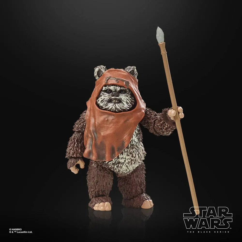 Star Wars Episode VI 40th Anniversary Black Series akční figurka Wicket 15 cm fotografii produktu