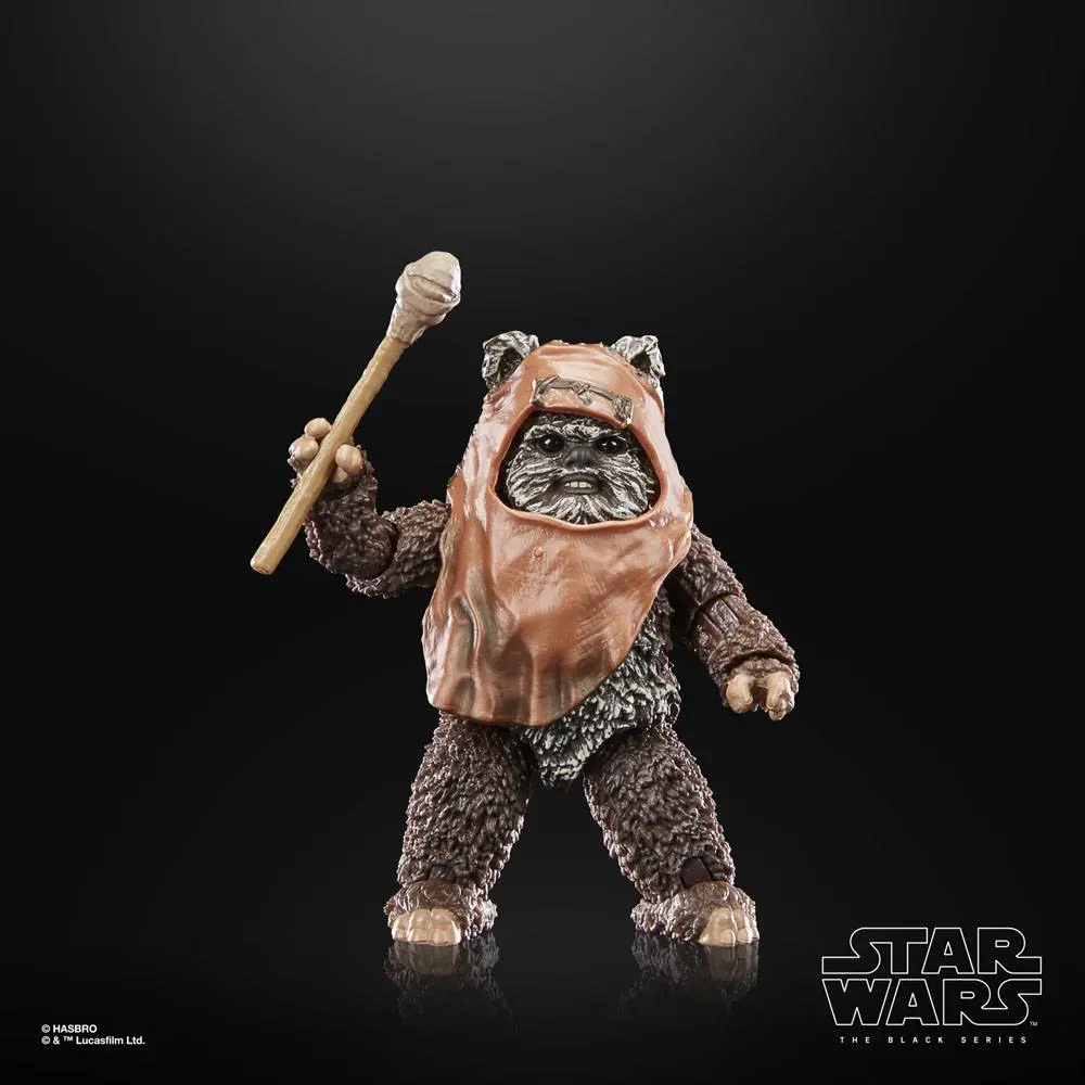 Star Wars Episode VI 40th Anniversary Black Series akční figurka Wicket 15 cm fotografii produktu