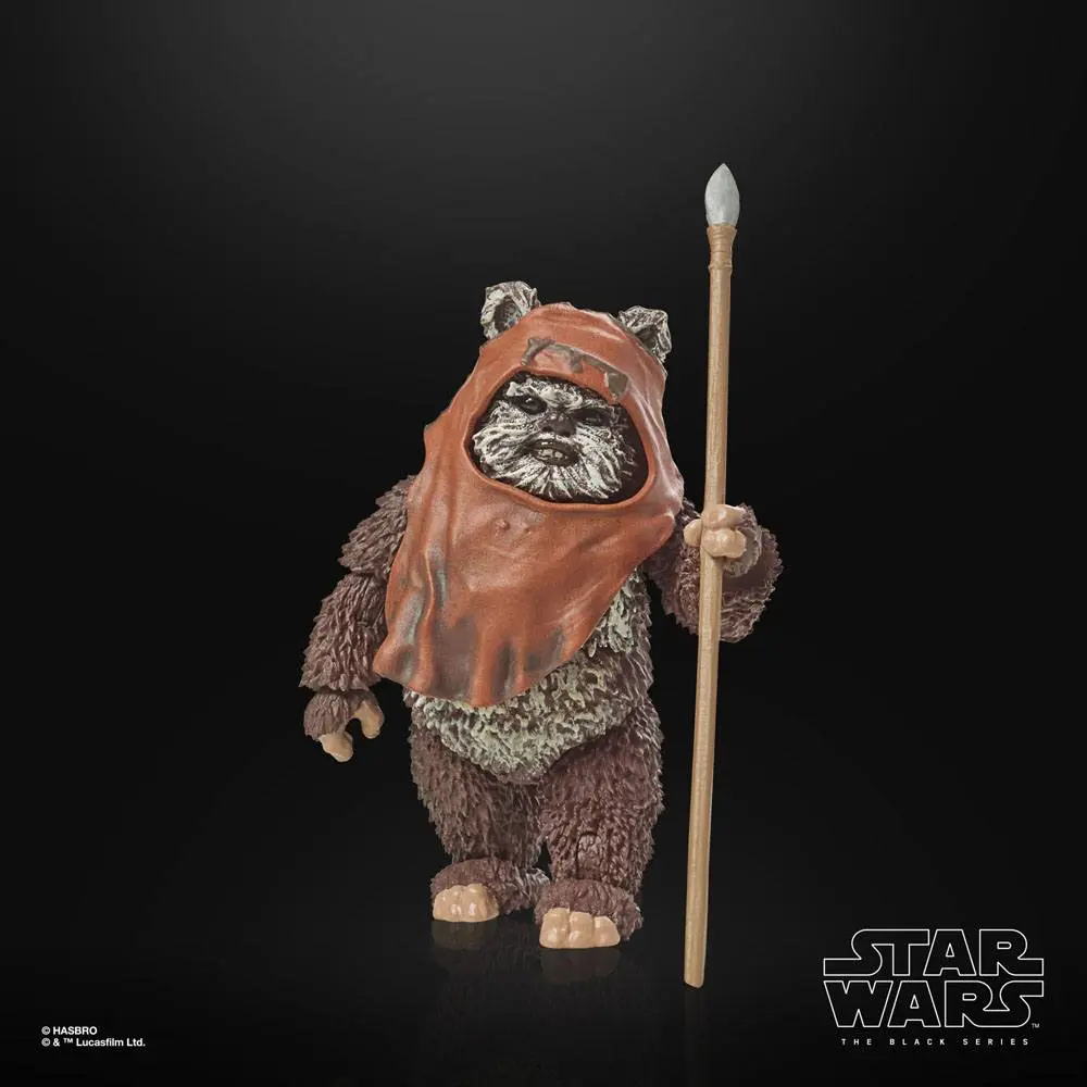 Star Wars Episode VI 40th Anniversary Black Series akční figurka Wicket 15 cm fotografii produktu