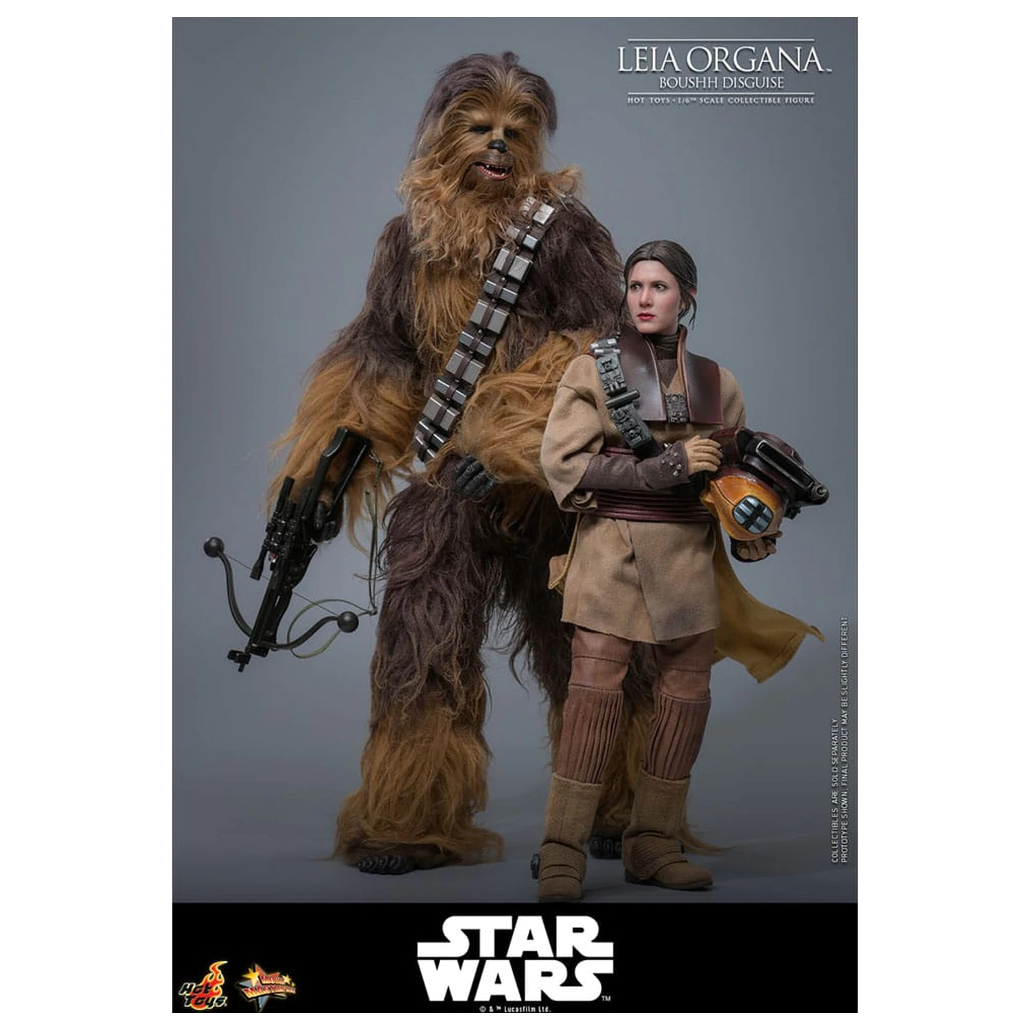 Star Wars Episode VI Movie Masterpiece akční figurka 1/6 Leia Organa (Boushh Disguise) 27 cm fotografii produktu