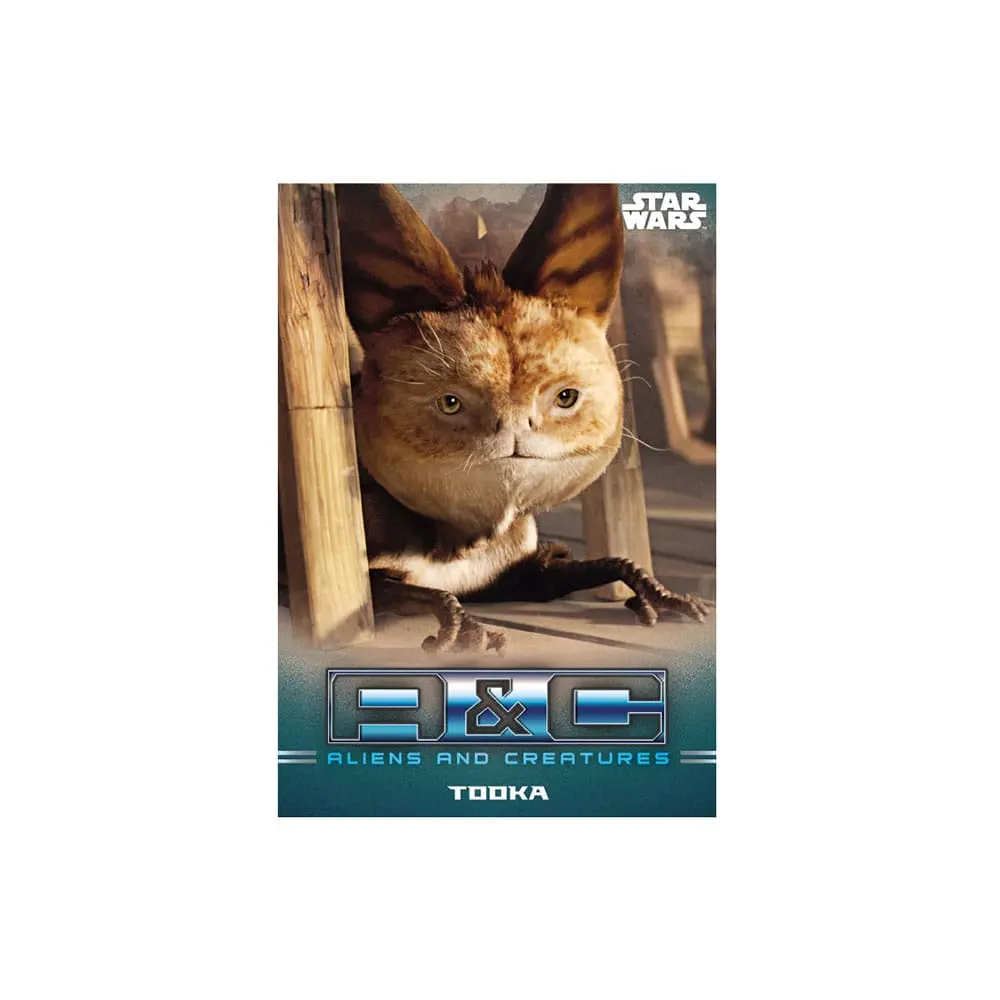 Star Wars: The Mandalorian Sběratelské karty Startovací balíček *Anglická verze* fotografii produktu
