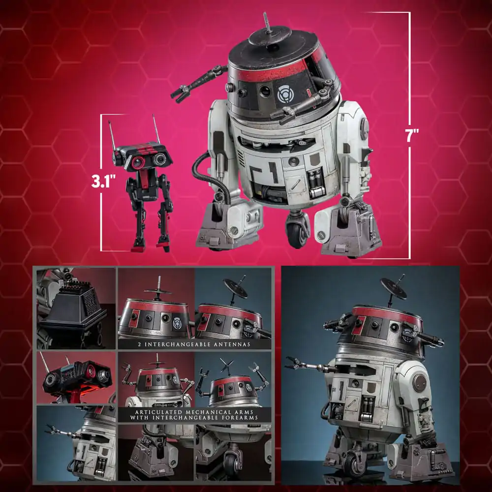 Star Wars Sada akčních figurek 1/6 Chopper (C1-10P™) a BD-1™ (Imperial Disguise) 18 cm a 8 cm fotografii produktu