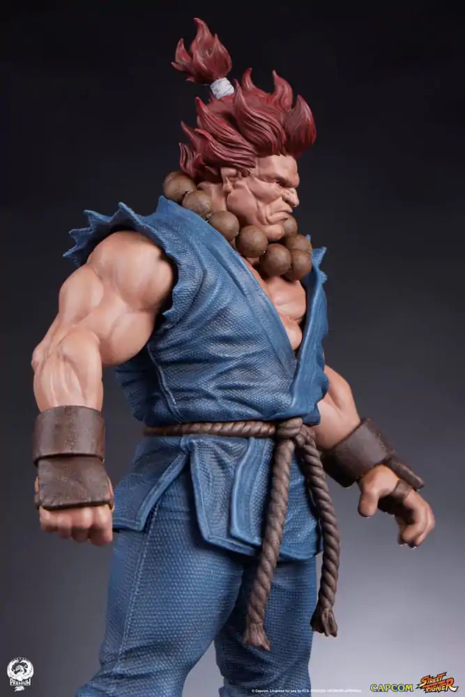 Street Fighter PVC Sochy 1/10 Akuma & Dhalsim 21 cm fotografii produktu