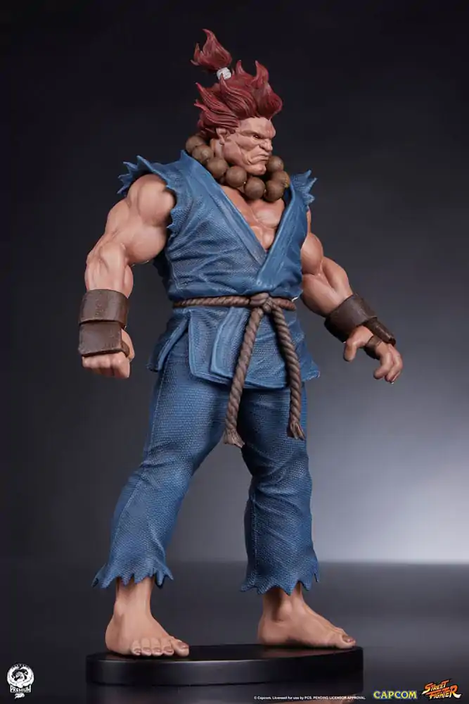Street Fighter PVC Sochy 1/10 Akuma & Dhalsim 21 cm fotografii produktu