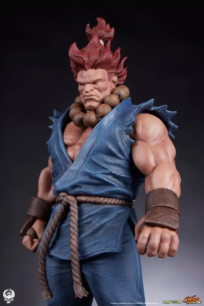 Street Fighter PVC Sochy 1/10 Akuma & Dhalsim 21 cm fotografii produktu