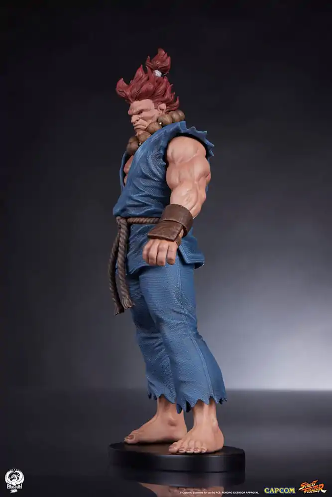 Street Fighter PVC Sochy 1/10 Akuma & Dhalsim 21 cm fotografii produktu