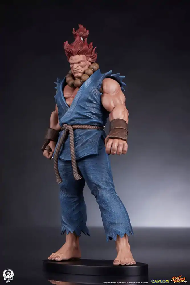 Street Fighter PVC Sochy 1/10 Akuma & Dhalsim 21 cm fotografii produktu