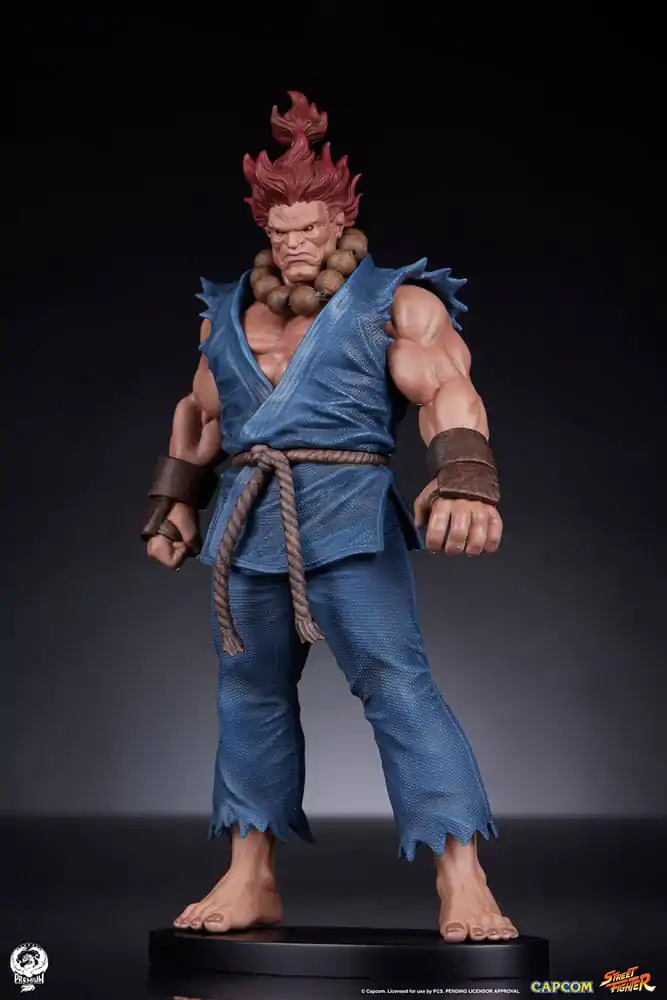 Street Fighter PVC Sochy 1/10 Akuma & Dhalsim 21 cm fotografii produktu