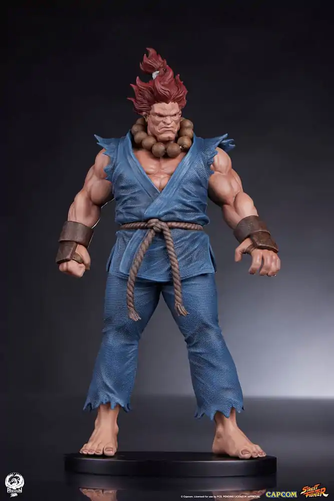Street Fighter PVC Sochy 1/10 Akuma & Dhalsim 21 cm fotografii produktu