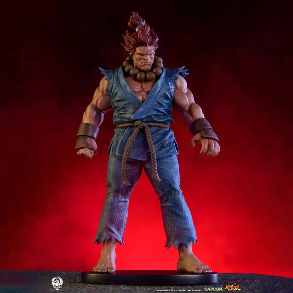 Street Fighter PVC Sochy 1/10 Akuma & Dhalsim 21 cm fotografii produktu