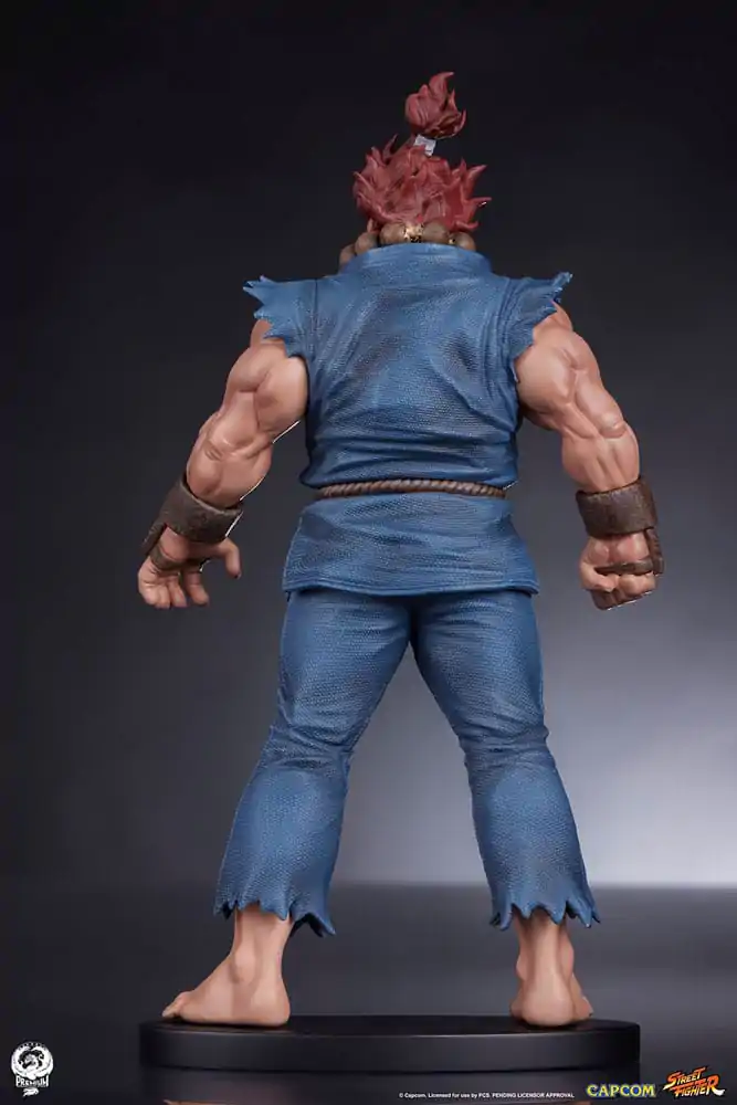 Street Fighter PVC Sochy 1/10 Akuma & Dhalsim 21 cm fotografii produktu