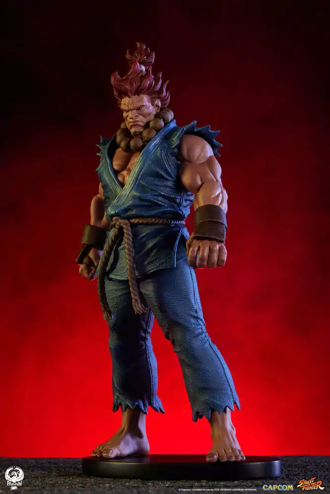 Street Fighter PVC Sochy 1/10 Akuma & Dhalsim 21 cm fotografii produktu