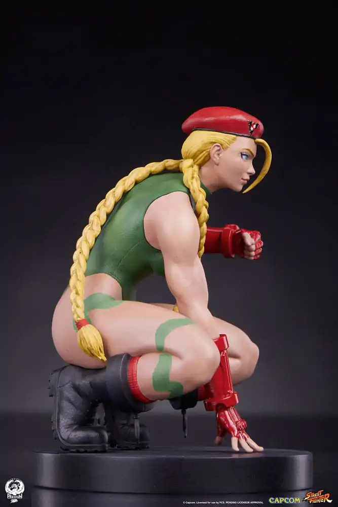Street Fighter PVC sochy 1/10 Cammy & Birdie 24 cm fotografii produktu