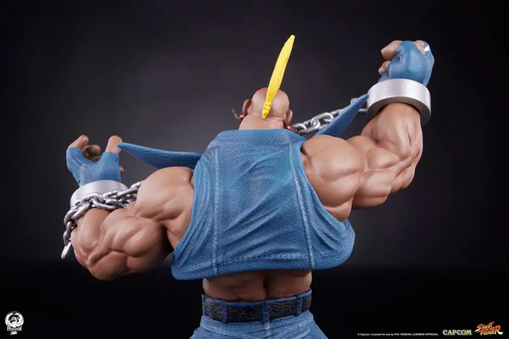 Street Fighter PVC sochy 1/10 Cammy & Birdie 24 cm fotografii produktu