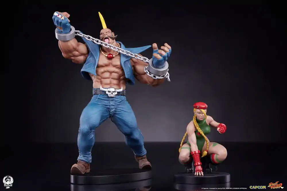 Street Fighter PVC sochy 1/10 Cammy & Birdie 24 cm fotografii produktu