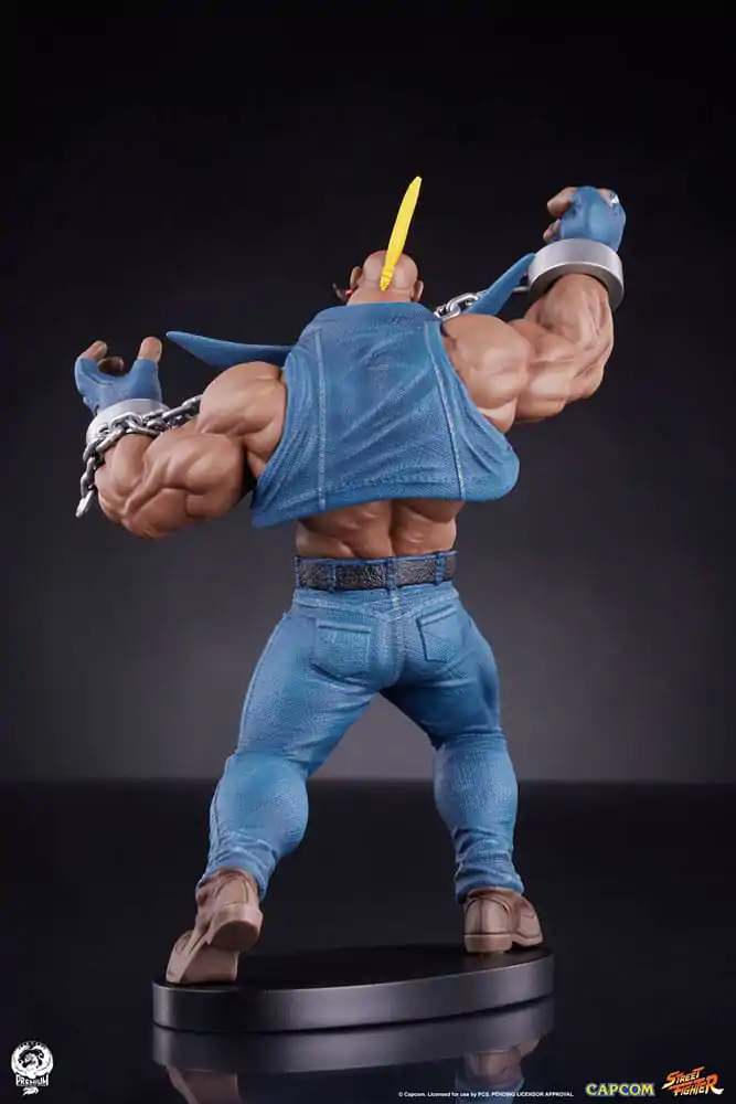 Street Fighter PVC sochy 1/10 Cammy & Birdie 24 cm fotografii produktu