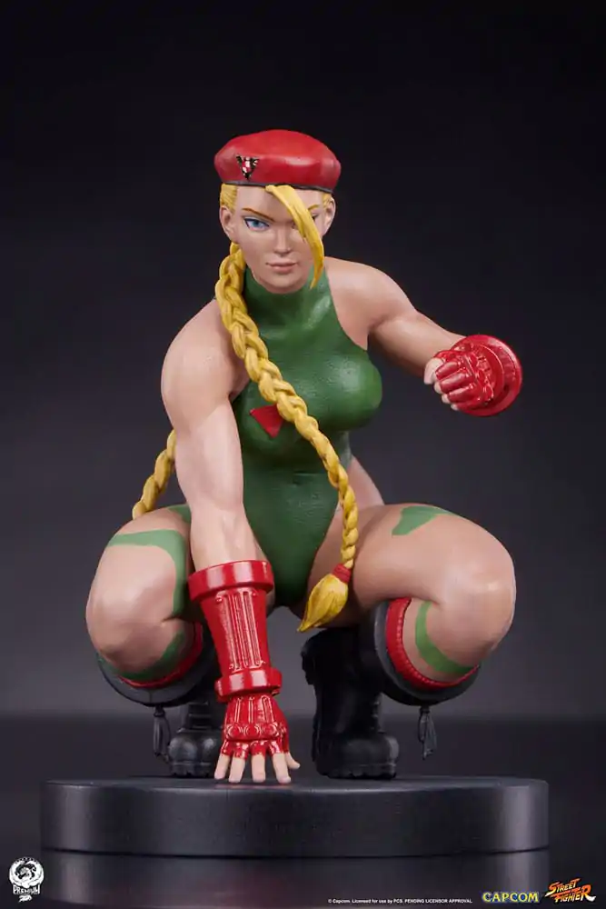 Street Fighter PVC sochy 1/10 Cammy & Birdie 24 cm fotografii produktu