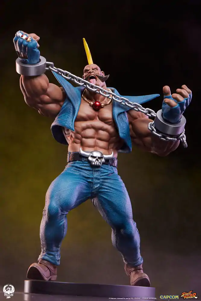Street Fighter PVC sochy 1/10 Cammy & Birdie 24 cm fotografii produktu
