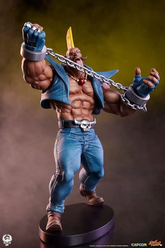 Street Fighter PVC sochy 1/10 Cammy & Birdie 24 cm fotografii produktu
