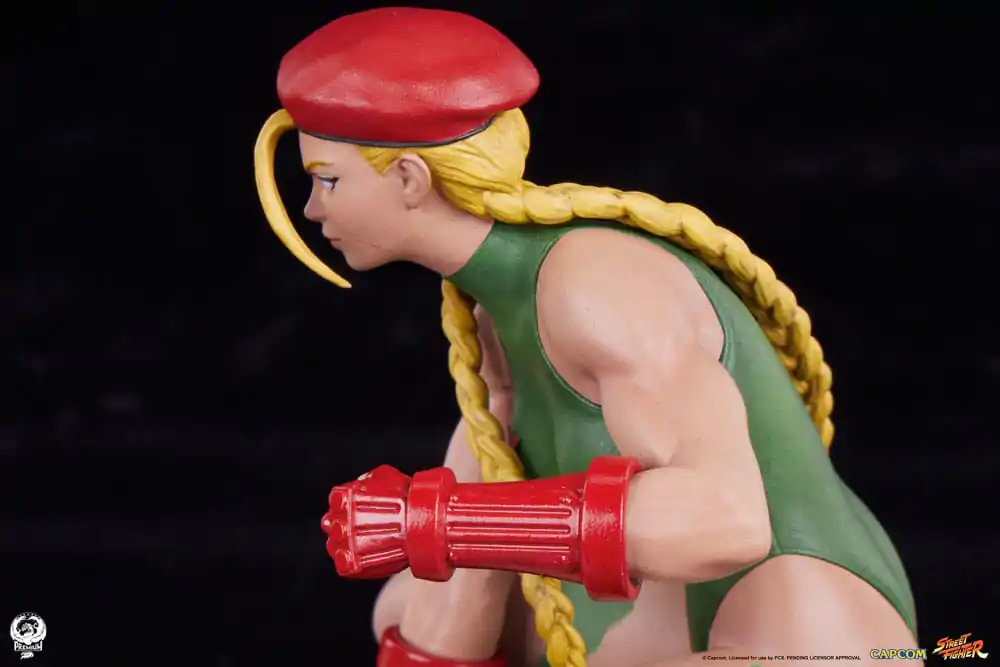 Street Fighter PVC sochy 1/10 Cammy & Birdie 24 cm fotografii produktu
