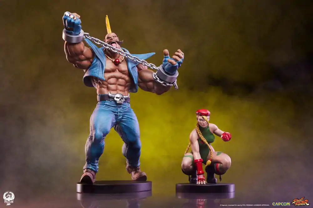 Street Fighter PVC sochy 1/10 Cammy & Birdie 24 cm fotografii produktu