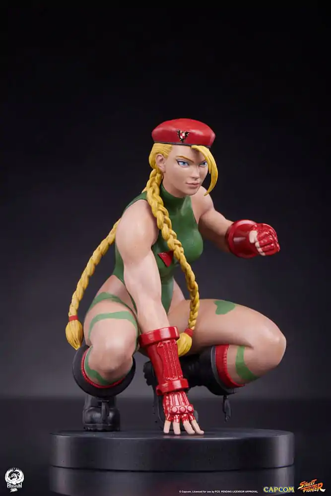 Street Fighter PVC sochy 1/10 Cammy & Birdie 24 cm fotografii produktu