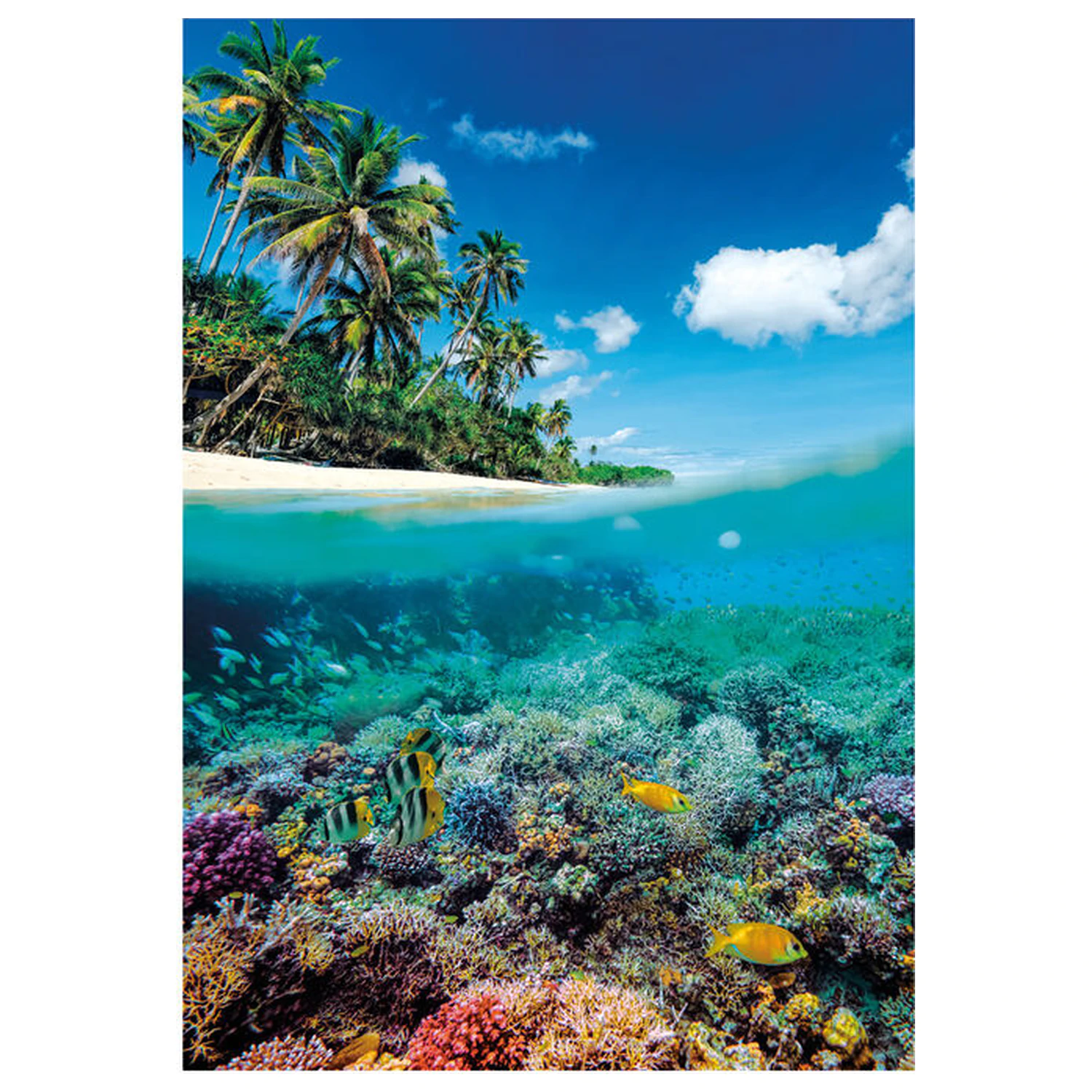 Summer Paradise puzzle 1000 ks fotografii produktu