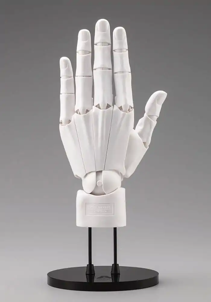 Takahiro Kagami PVC pomůcka pro umělce ruka 1/1 model muži /L bílá 22 cm fotografii produktu