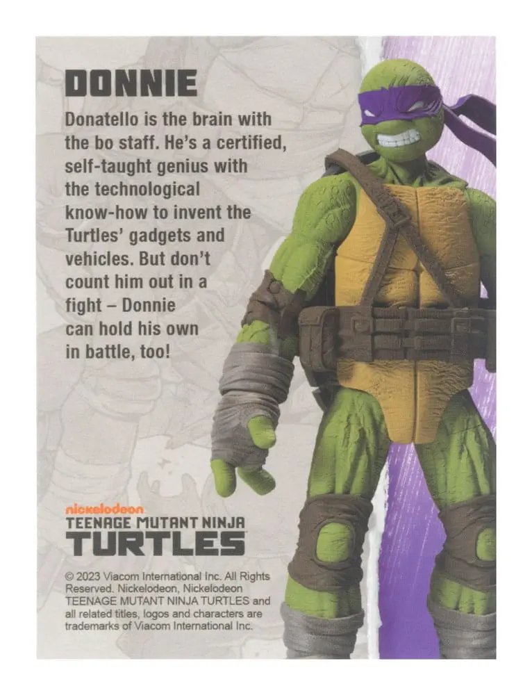 Teenage Mutant Ninja Turtles BST AXN Akční figurka Donatello (IDW Comics) 13 cm fotografii produktu