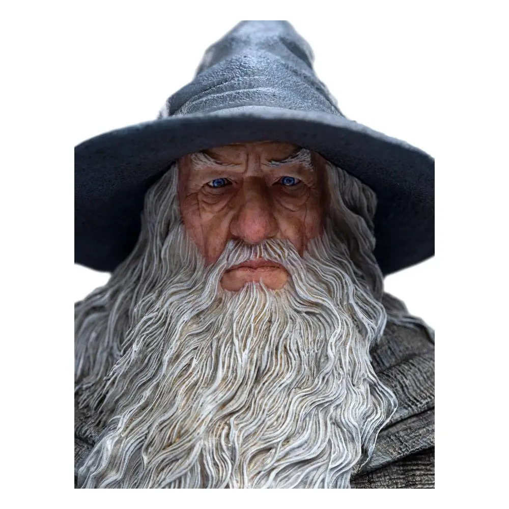 The Lord of the Rings Socha 1/6 Gandalf the Grey Poutník (Classic Series) 36 cm fotografii produktu