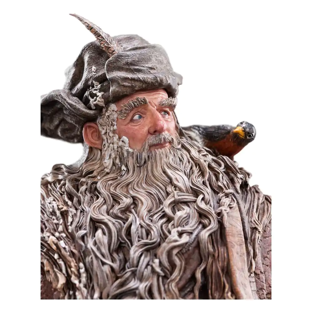 The Lord of the Rings Statue 1/6 Radagast 30 cm - Socha fotografii produktu