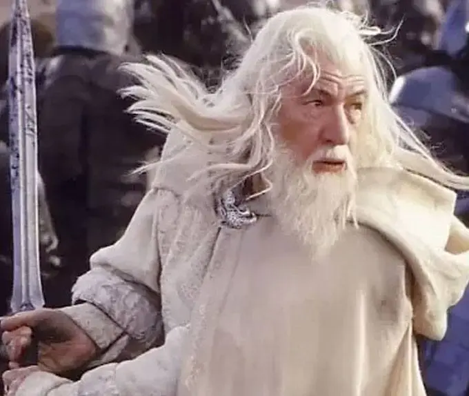 The Lord of the Rings Figures of Fandom PVC socha Gandalf the White 23 cm fotografii produktu