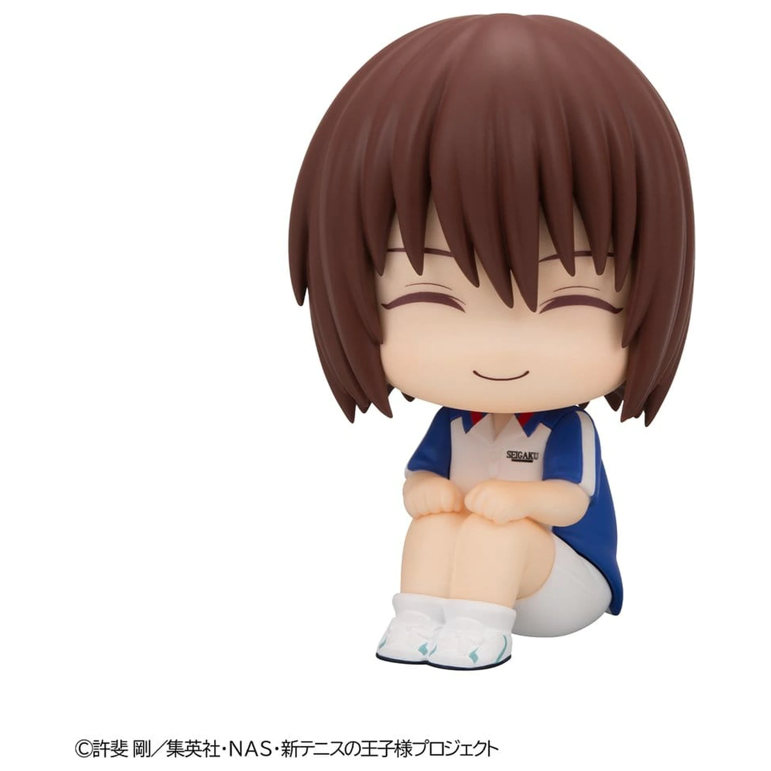The New Prince of Tennis Look Up PVC figurka Shusuke Fuji 11 cm fotografii produktu