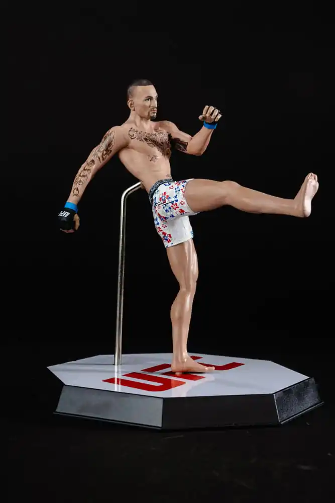 UFC Posed PVC Soška Max Holloway 18 cm fotografii produktu