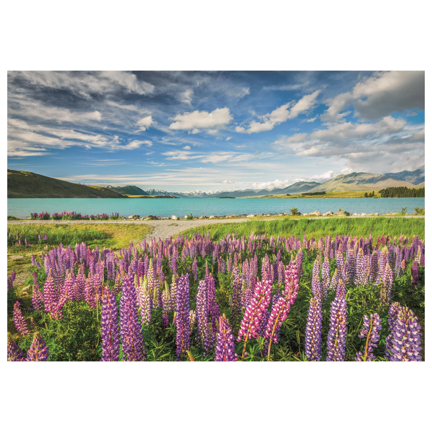 New Zealand Lake Tekapo puzzle s 1500 dílky fotografii produktu