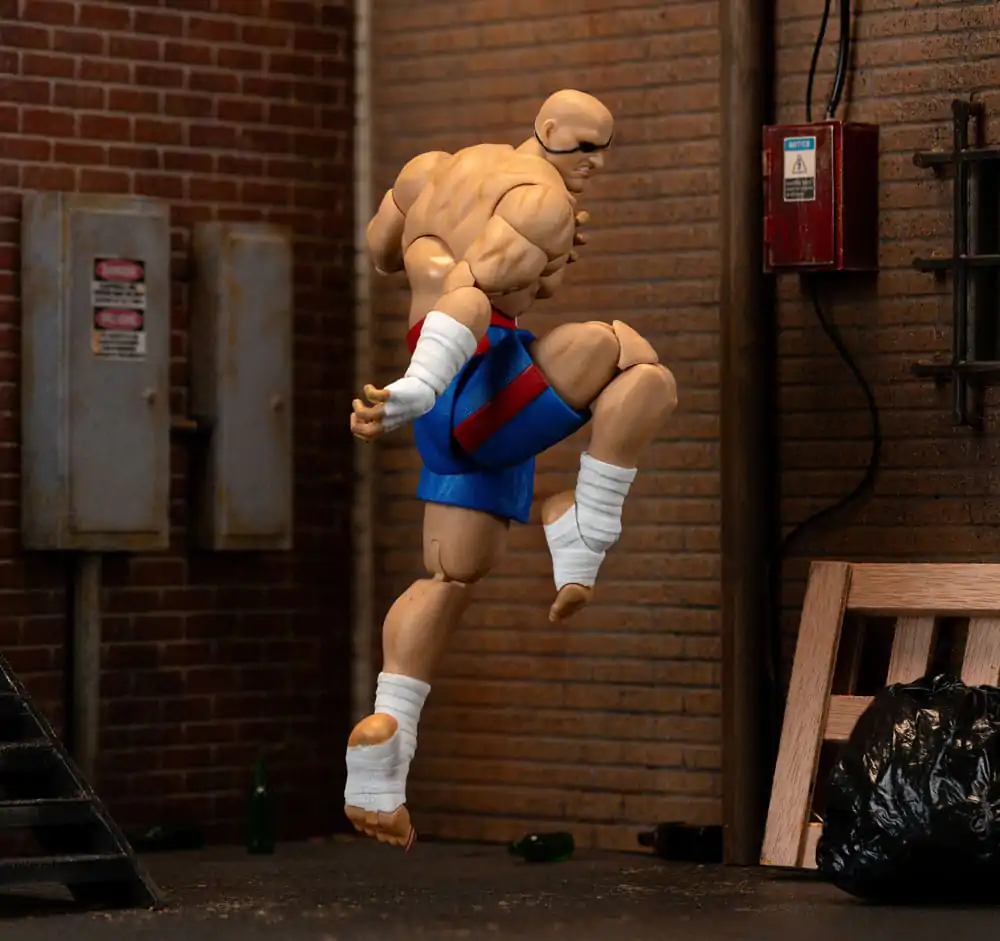 Ultra Street Fighter II: The Final Challengers Akční figurka 1/12 Sagat 19 cm fotografii produktu