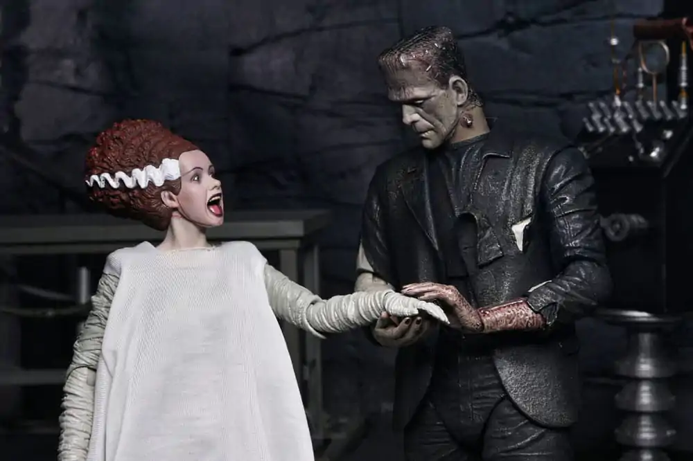Universal Monsters Action Figures 2-Pack Bride of Frankenstein 90th Anniversary The Monster & His Mate 18 cm fotografii produktu