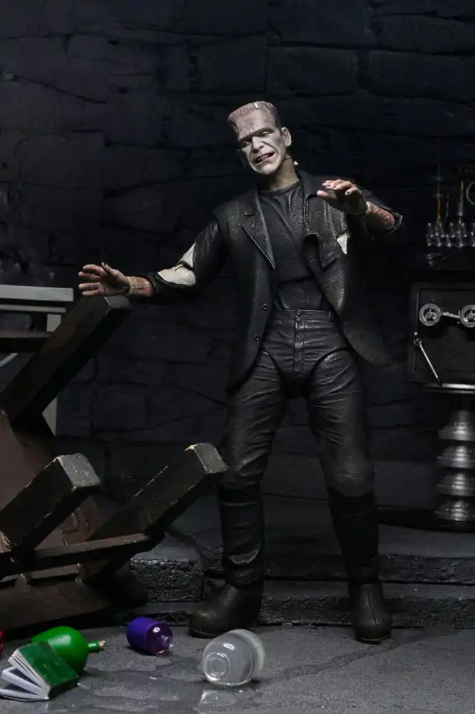 Universal Monsters Action Figures 2-Pack Bride of Frankenstein 90th Anniversary The Monster & His Mate 18 cm fotografii produktu