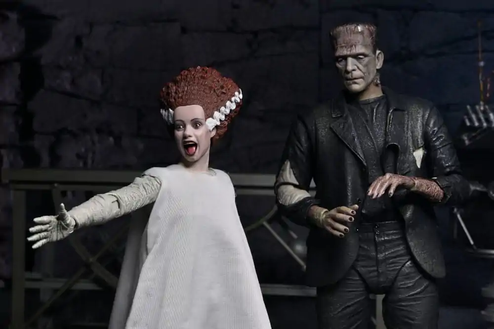 Universal Monsters Action Figures 2-Pack Bride of Frankenstein 90th Anniversary The Monster & His Mate 18 cm fotografii produktu