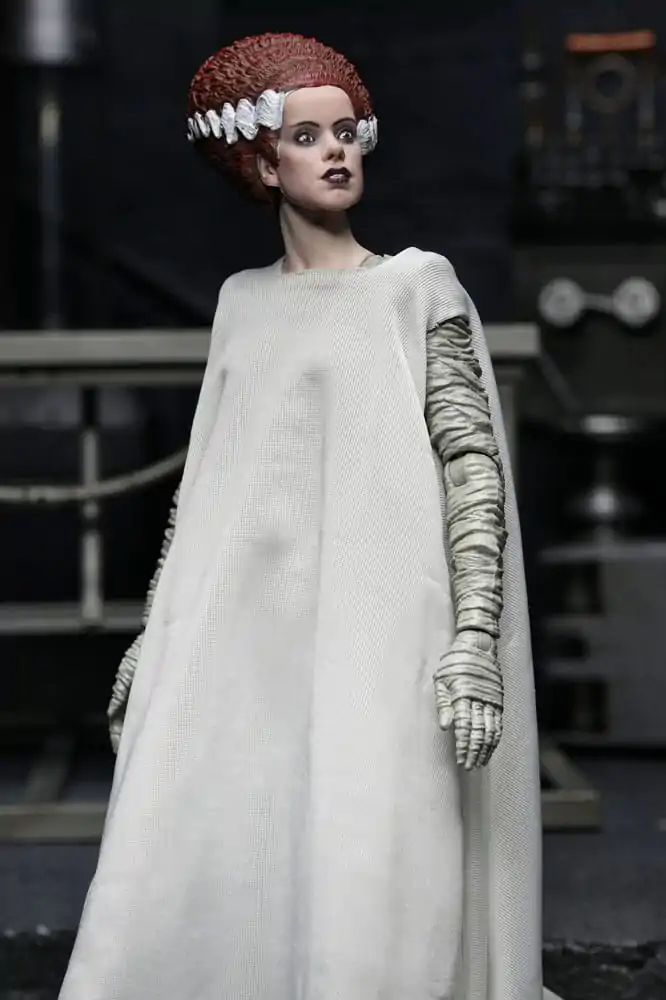 Universal Monsters Action Figures 2-Pack Bride of Frankenstein 90th Anniversary The Monster & His Mate 18 cm fotografii produktu