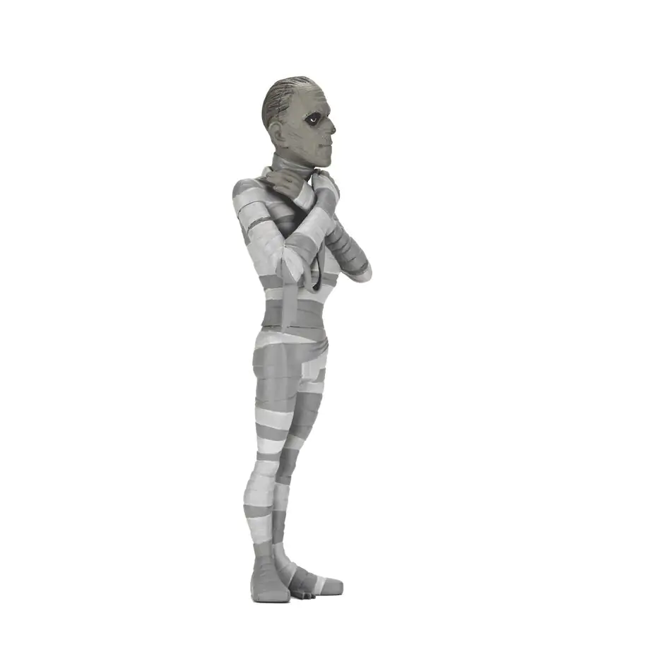 Universal Monsters The Mummy Black & White The Mummy Toony Terrors figurka 15 cm fotografii produktu