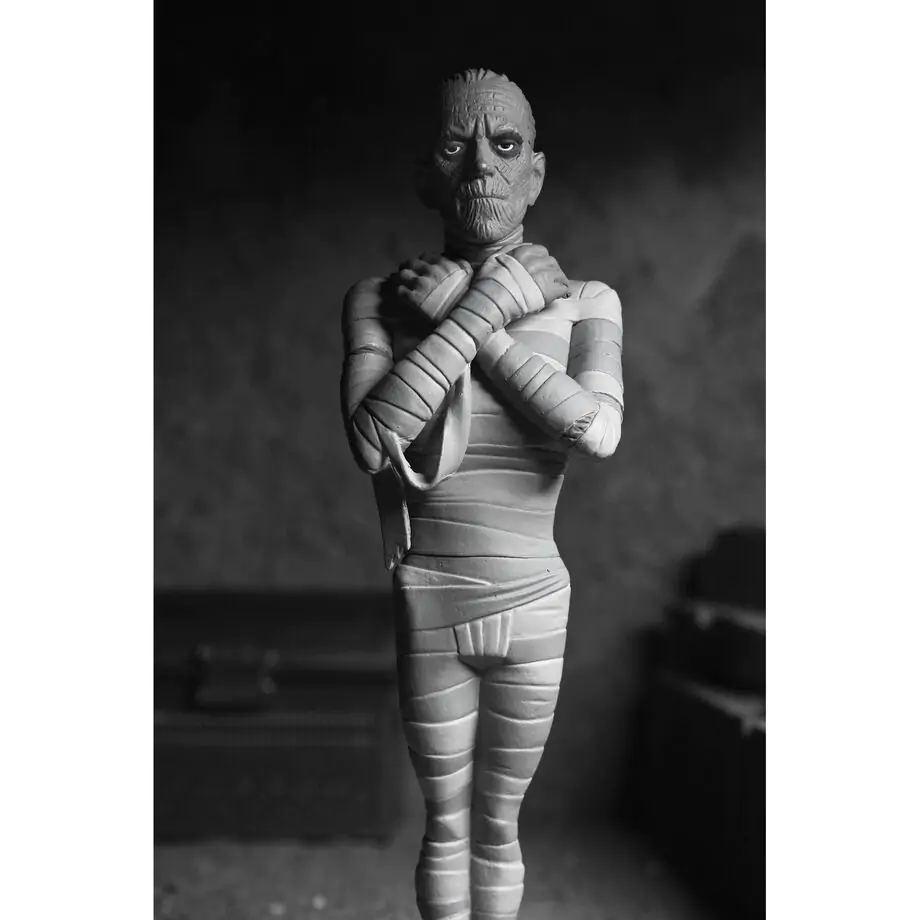 Universal Monsters The Mummy Black & White The Mummy Toony Terrors figurka 15 cm fotografii produktu