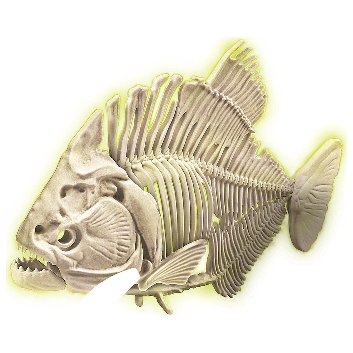 Svítící Piraňa Archeo Zábavný Archeologický kit fotografii produktu