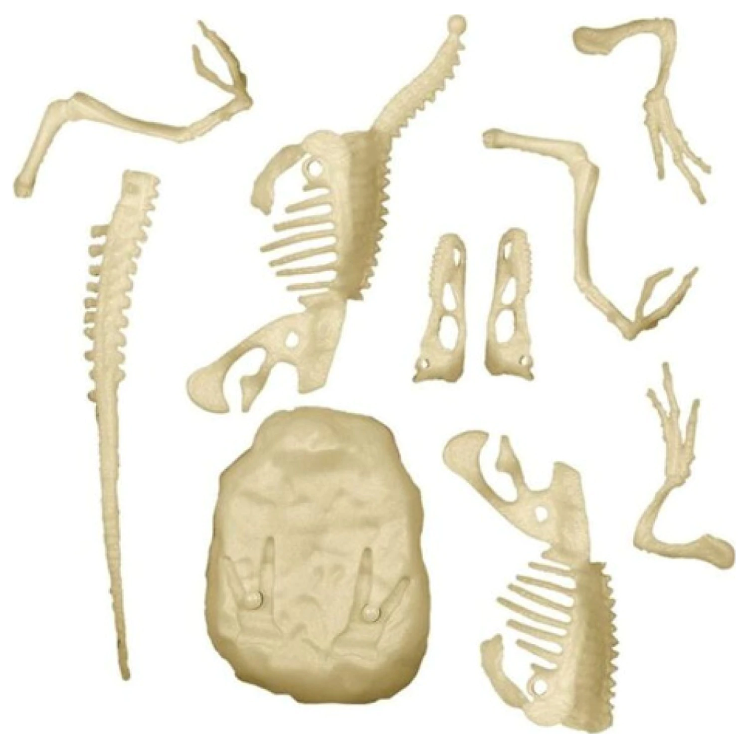 Light-Up Velociraptor Archeo Fun archeologická sada fotografii produktu