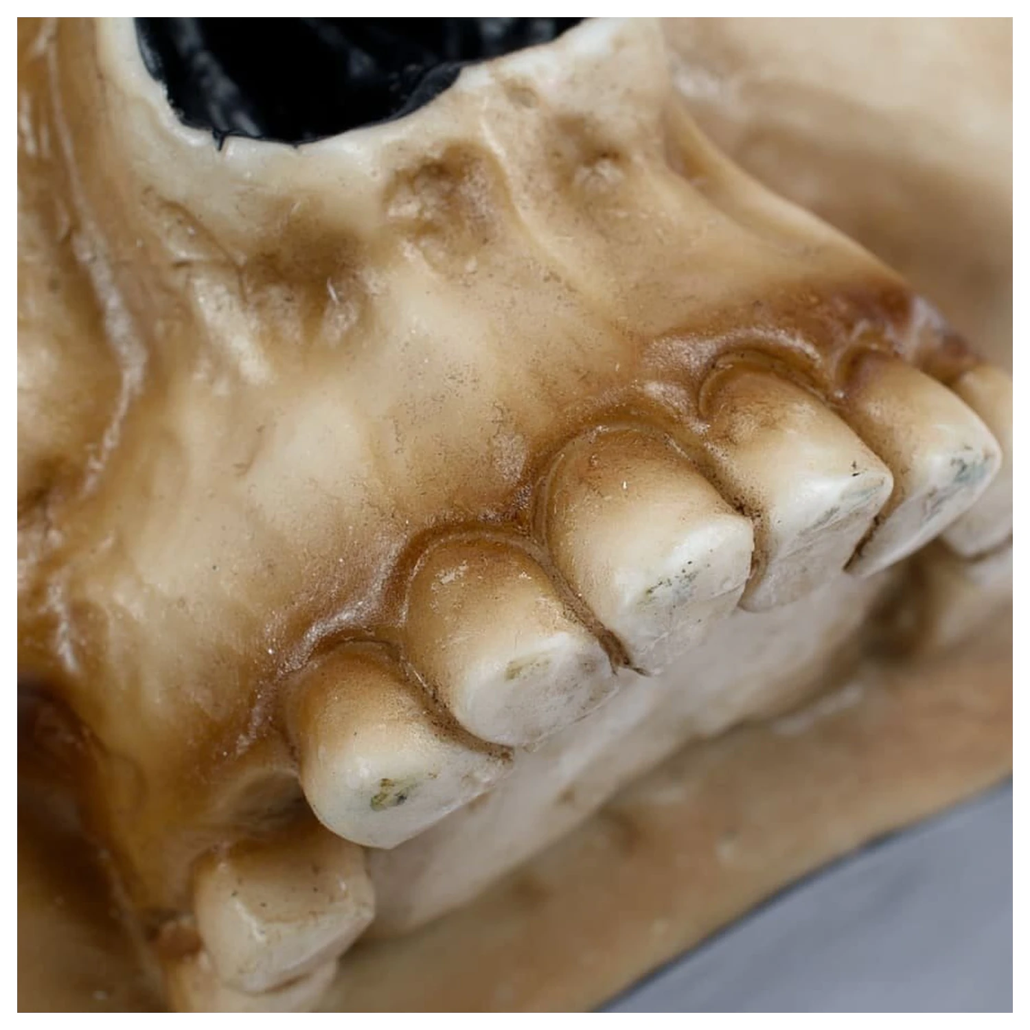 Warhammer 40,000 Hnek Servo Skull fotografii produktu