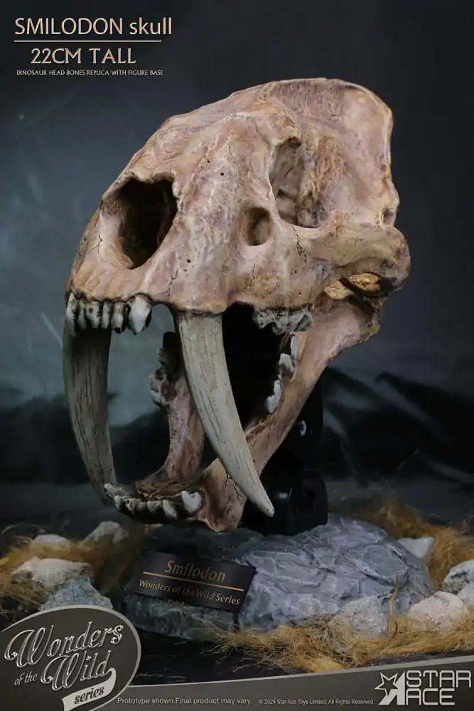 Wonders of the Wild Series Statue Smilodon Skull Fosilní soška 22 cm fotografii produktu